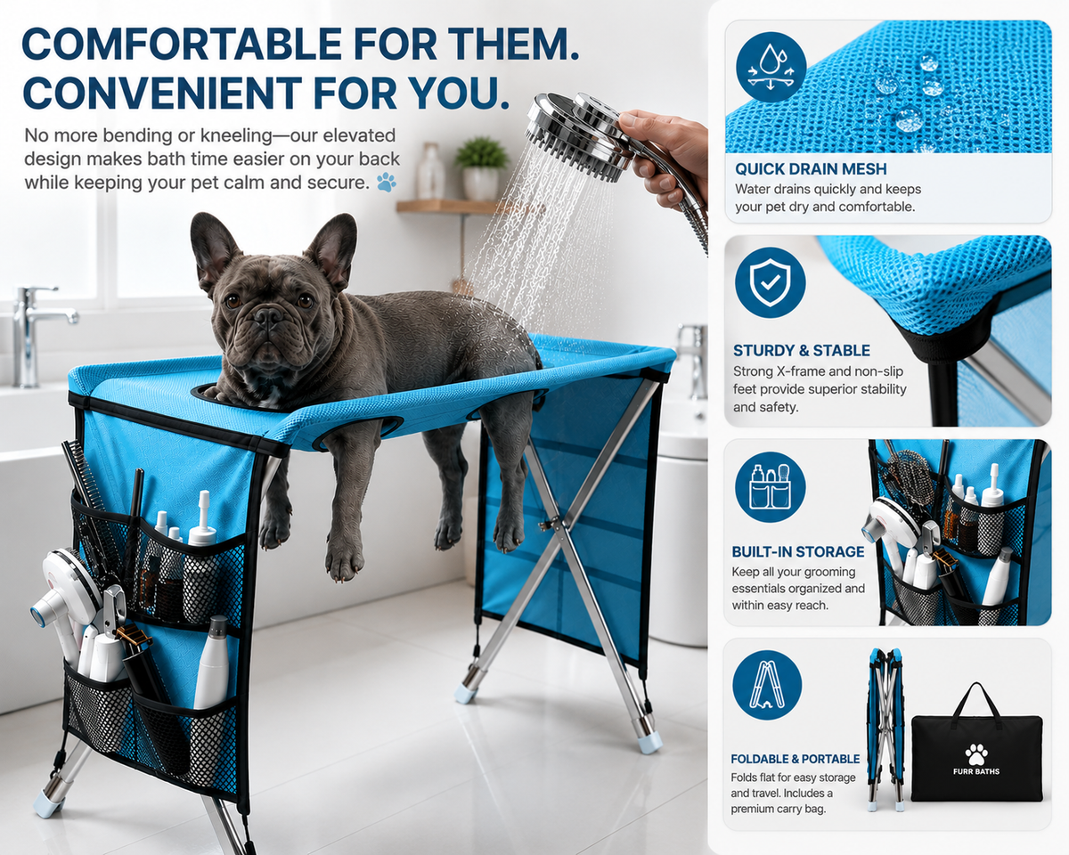 PawBaths elevated dog grooming and bath stand